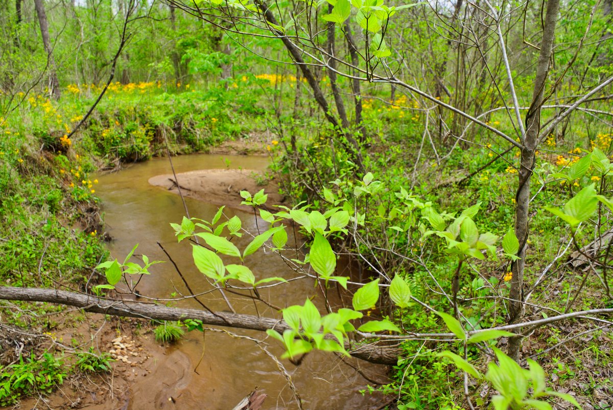 waterfront property in Rutherford County, NC