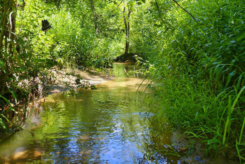 water frontage on lot 132 in Clearwater Creek