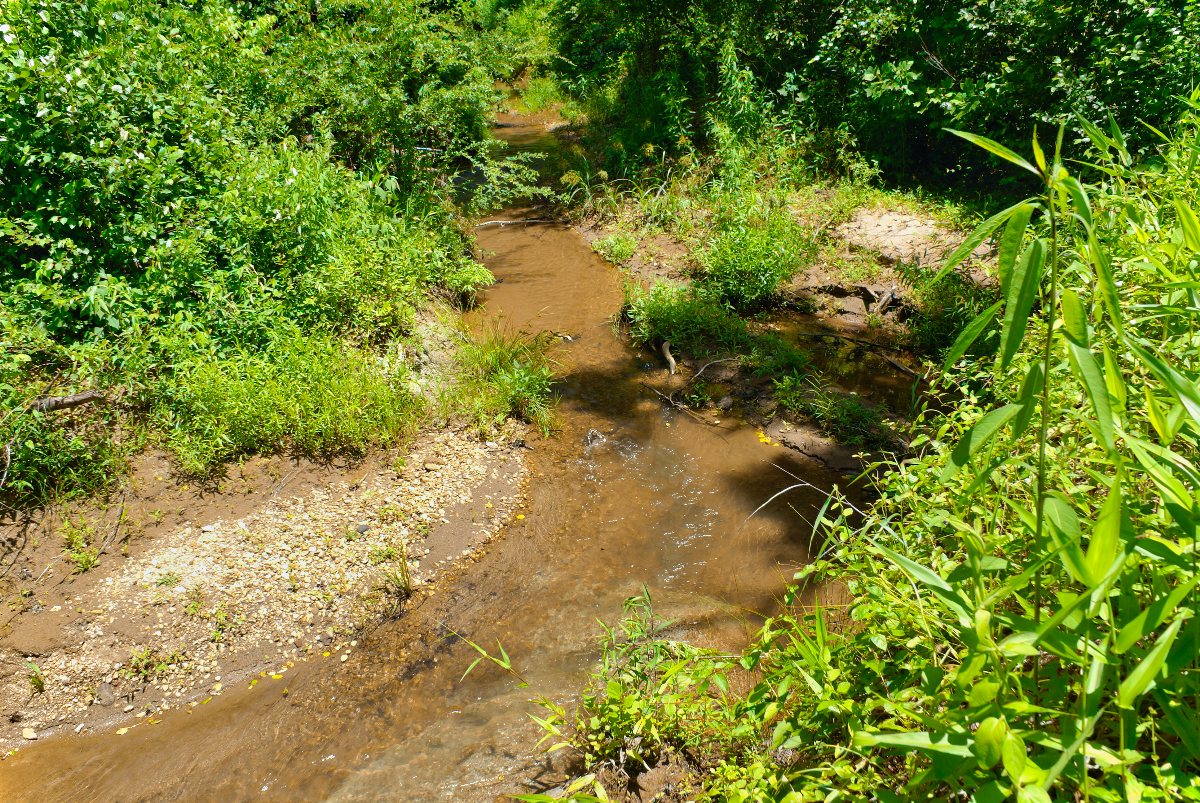 water frontage on lot 144 in Clearwater Creek