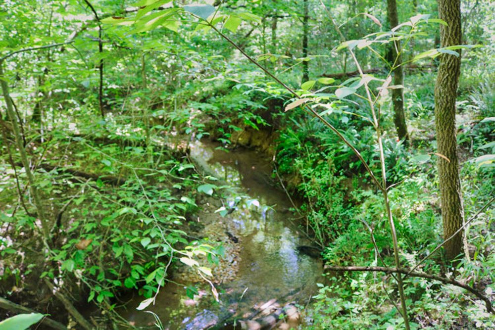 water frontage with near-level acreage in Clearwater Creek