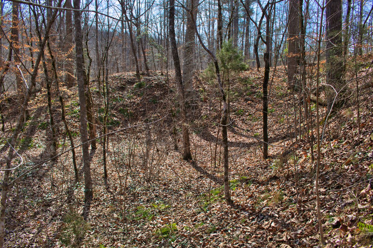 natural undulations and formations on lot 170 in Clearwater Creek