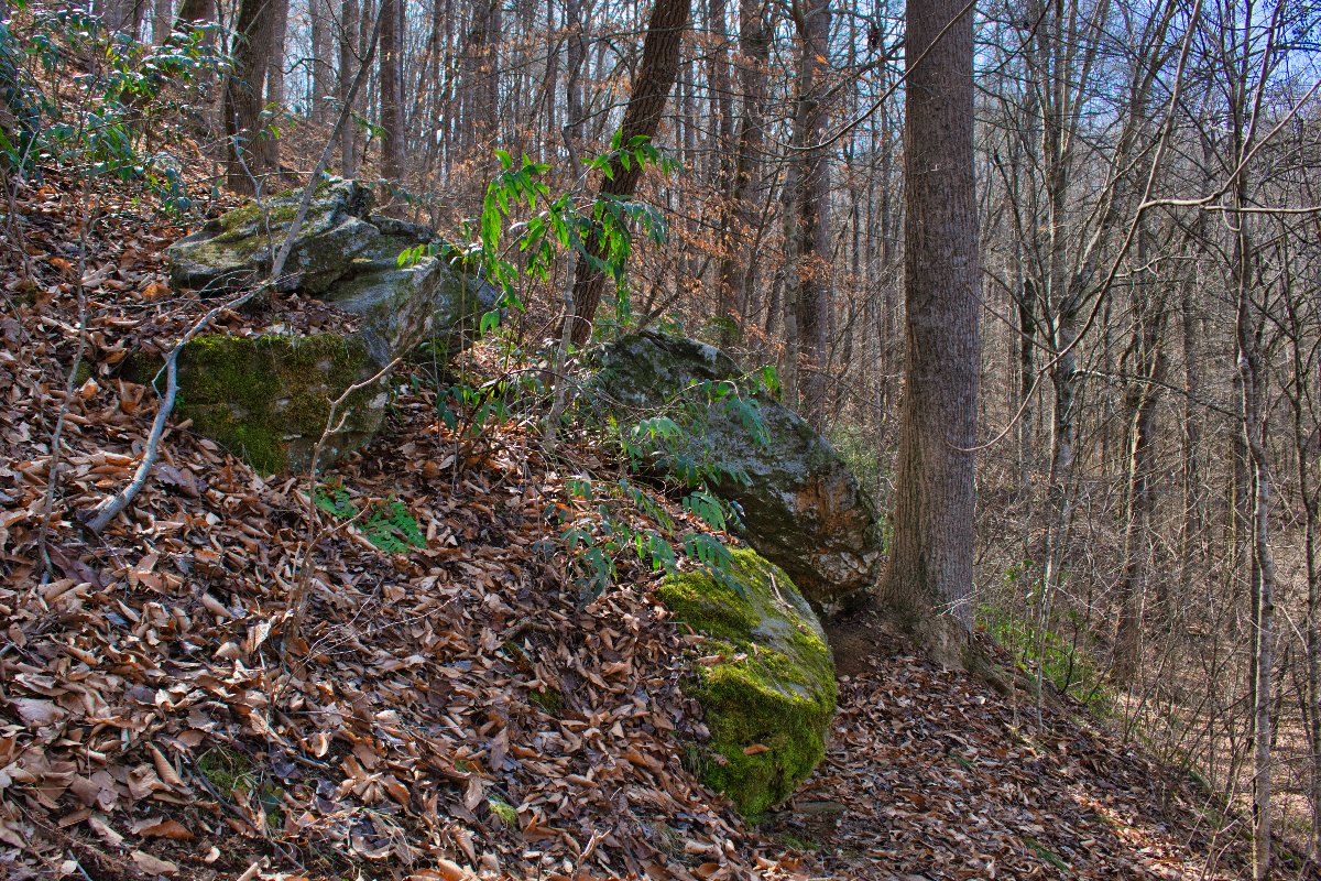 water frontage lot with boulders on lot 171 in Clearwater Creek