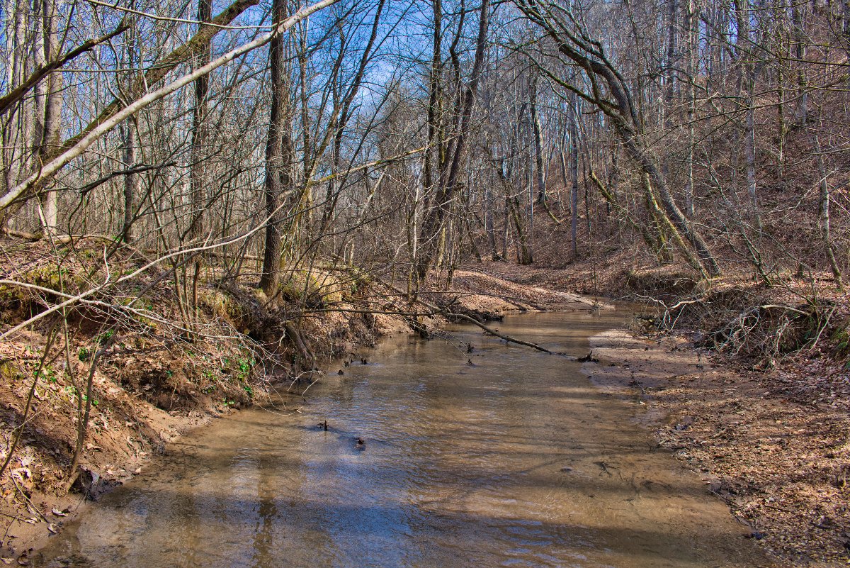 waterfront property in Rutherford County, NC