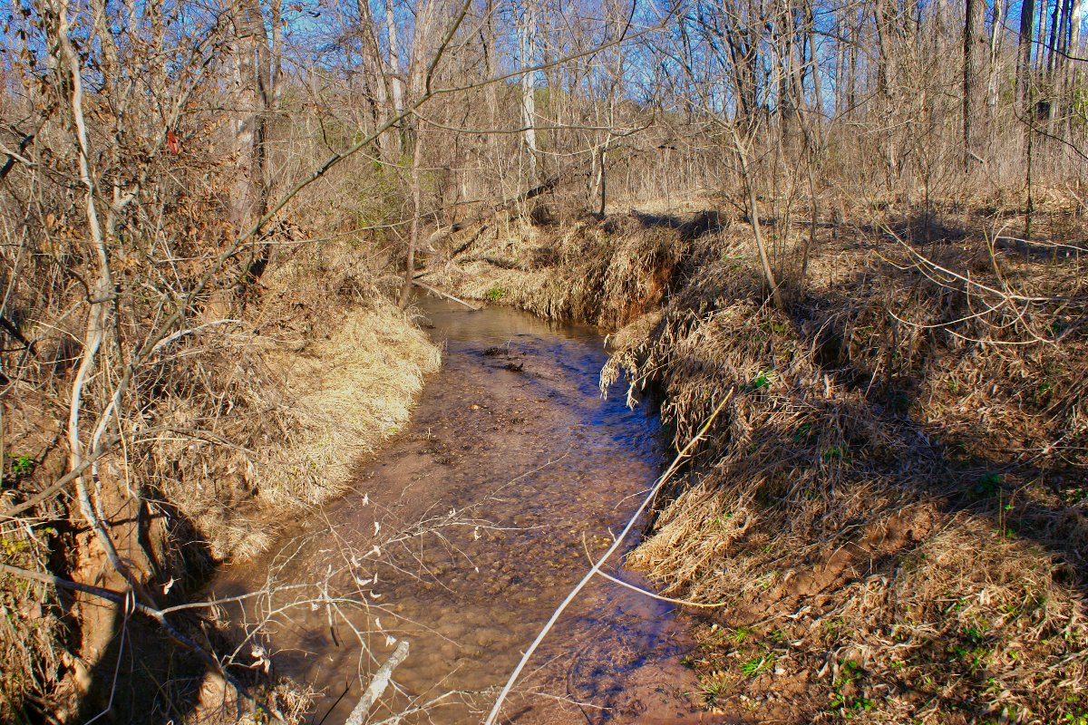 water frontage with gently sloping acreage in Clearwater Creek