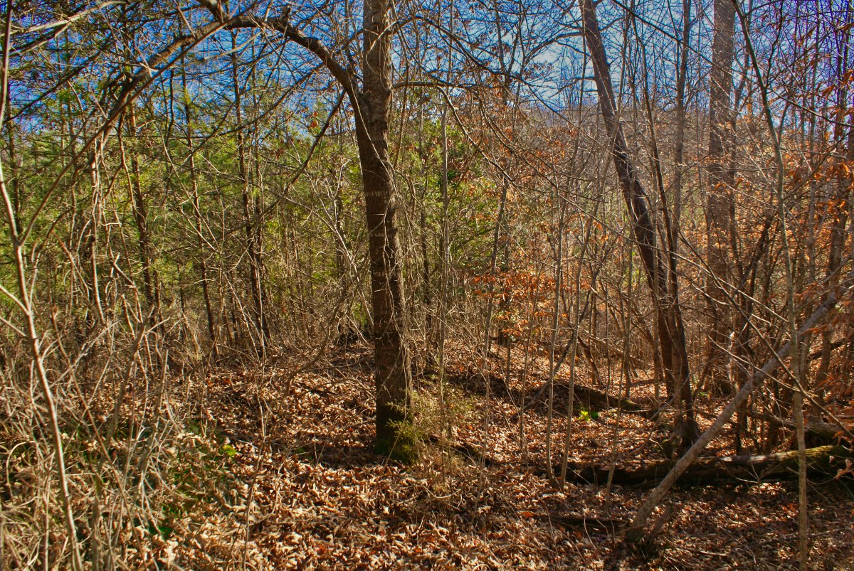 water frontage with gently sloping acreage in Clearwater Creek