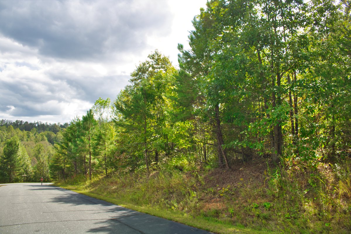 street view of lot 196 in Clearwater Creek