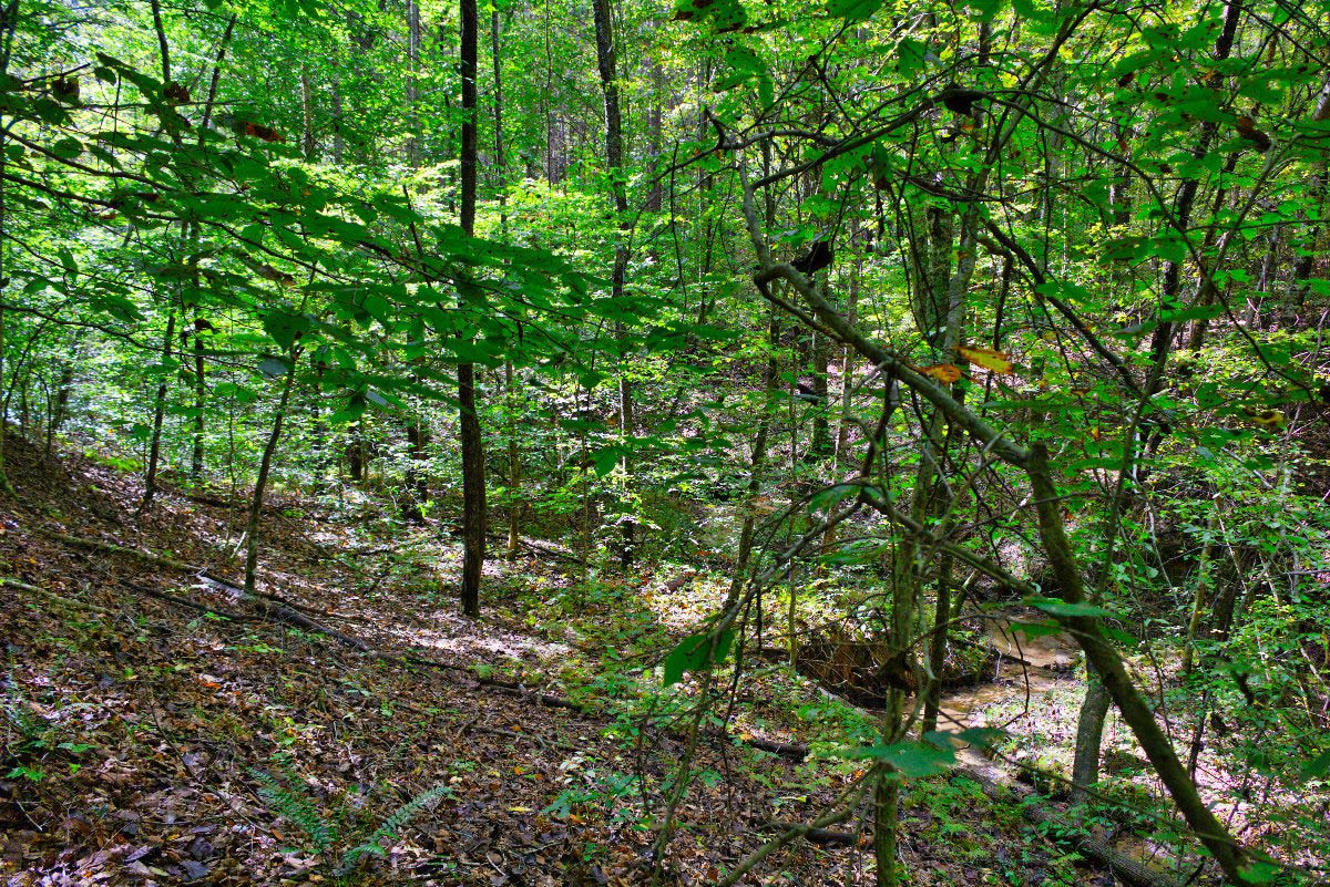 property is on both sides and crosses stream