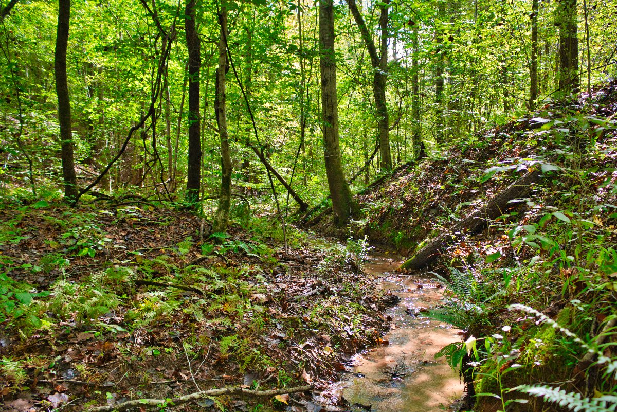 waterfront property in Rutherford County, NC