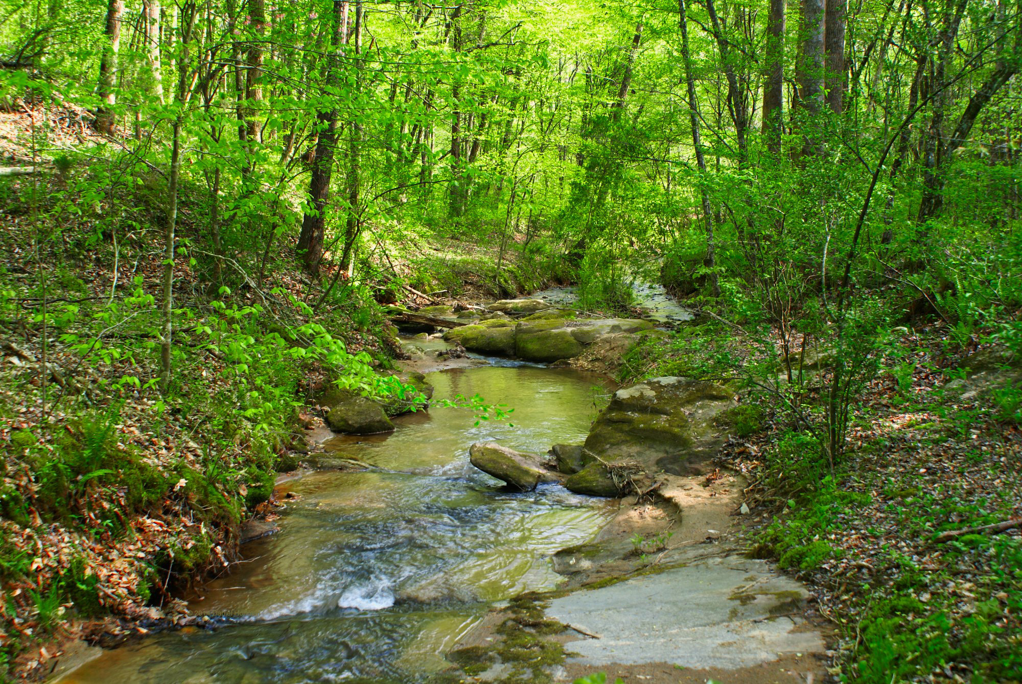 waterfront property in Rutherford County, NC