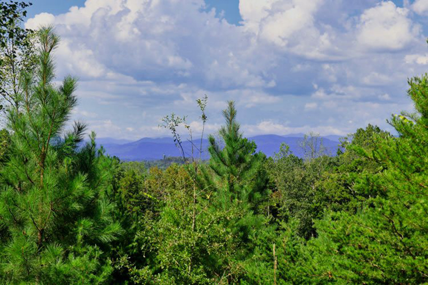 Mountain view from Lot 4 on Talia Dr