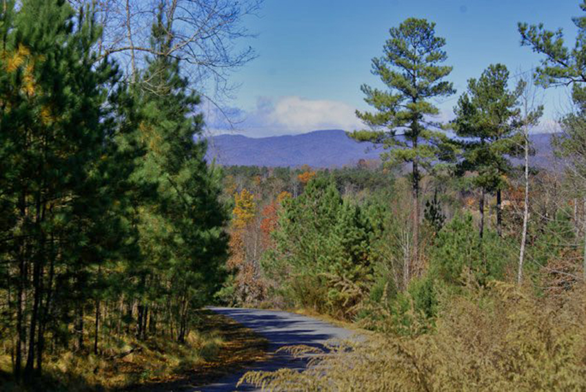 winter views of the mountains on lot 98 in Clearwater Creek