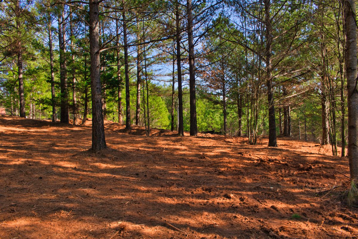 near-level land in western NC