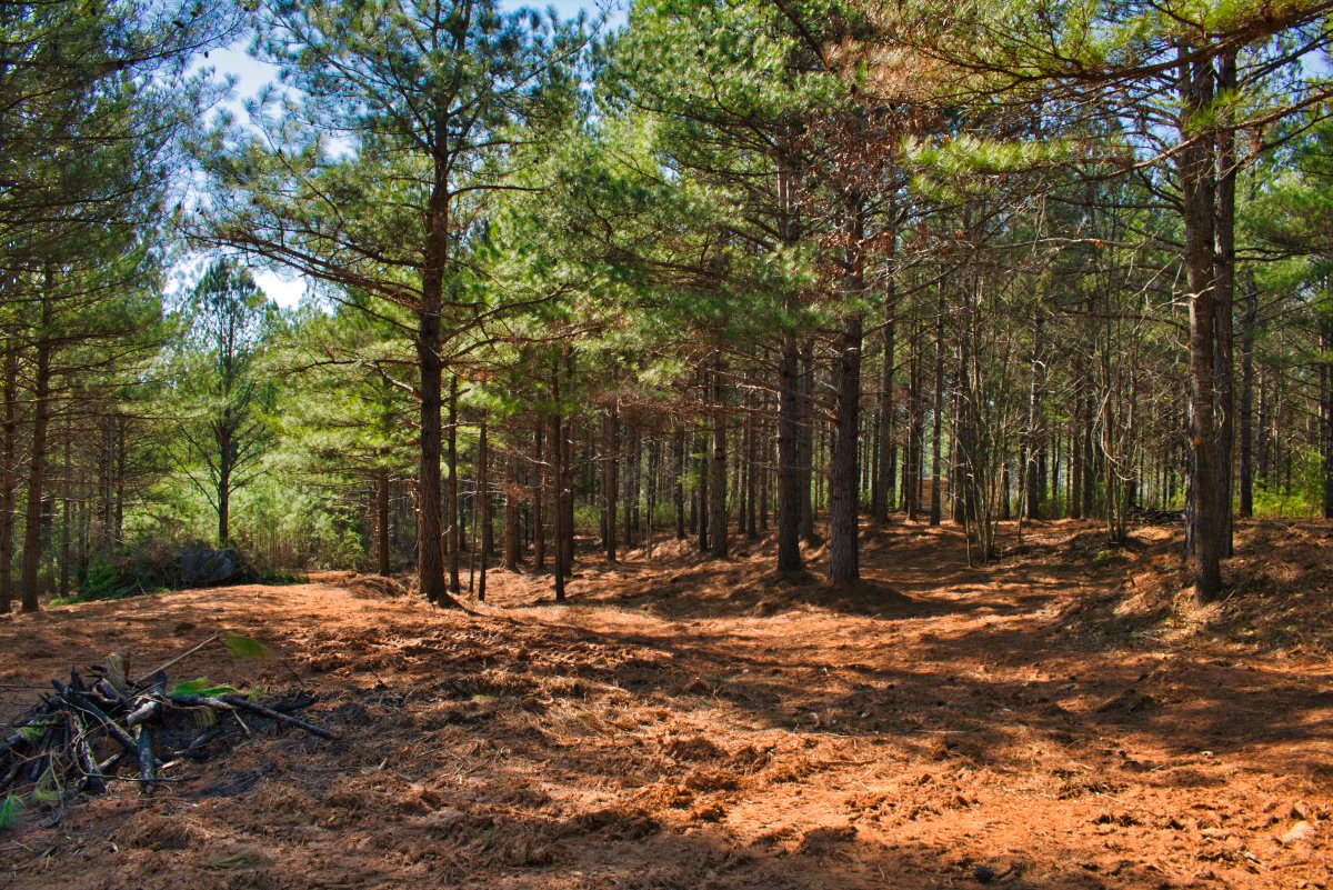 near-level land in western NC