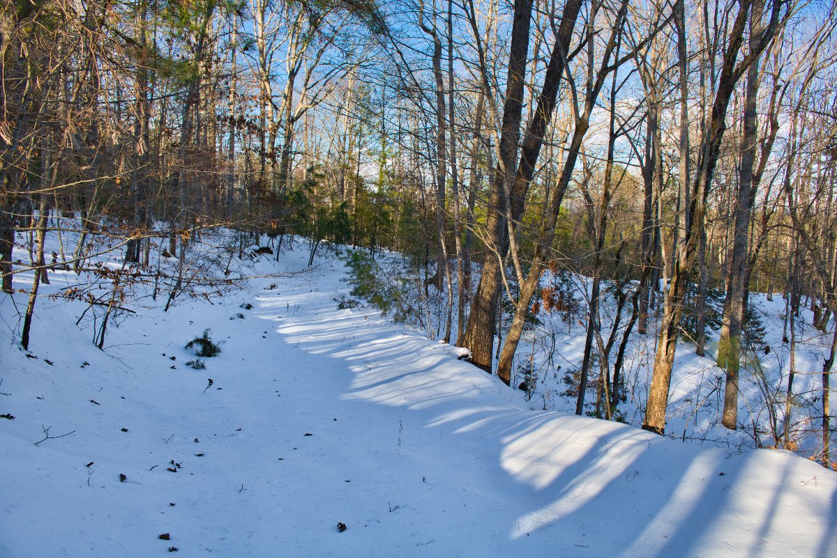 driveway into wooded parcel in Hearthstone Ridge