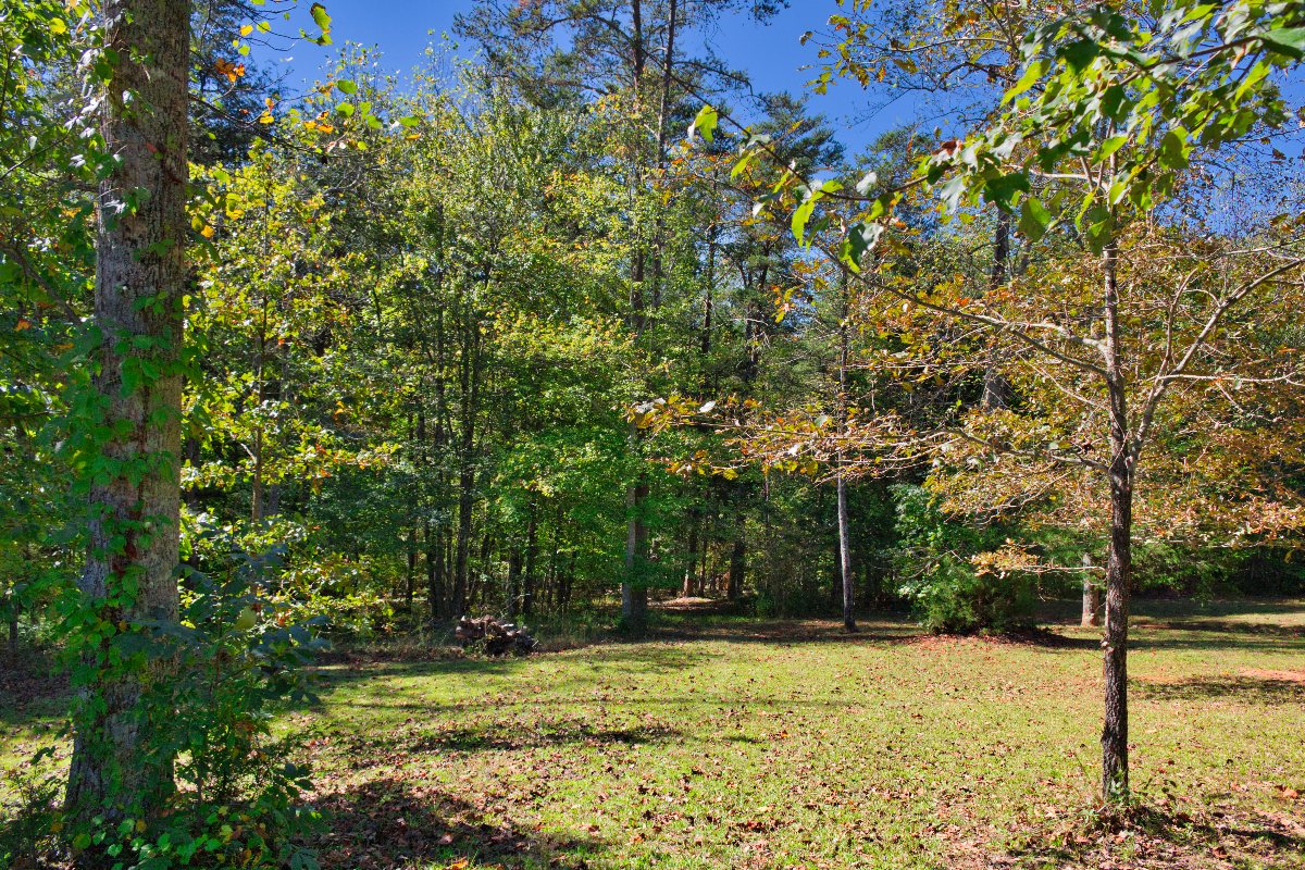 MLS #48679 124 S. Chatem, Union Mills, NC