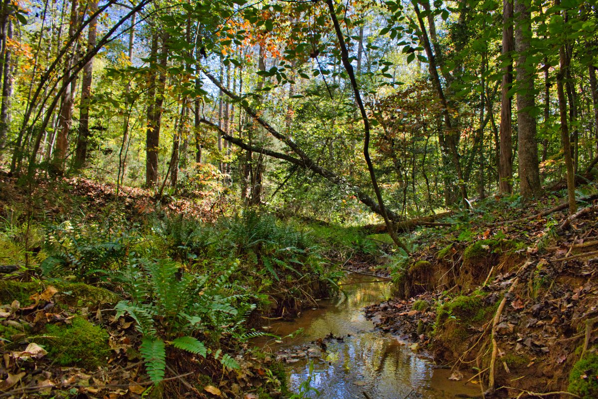 waterfront property in Rutherford County, NC