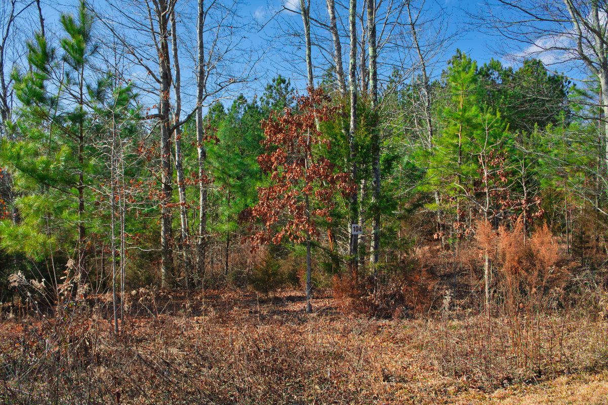 land at the end of a cul-de-sac in Hearthstone Ridge