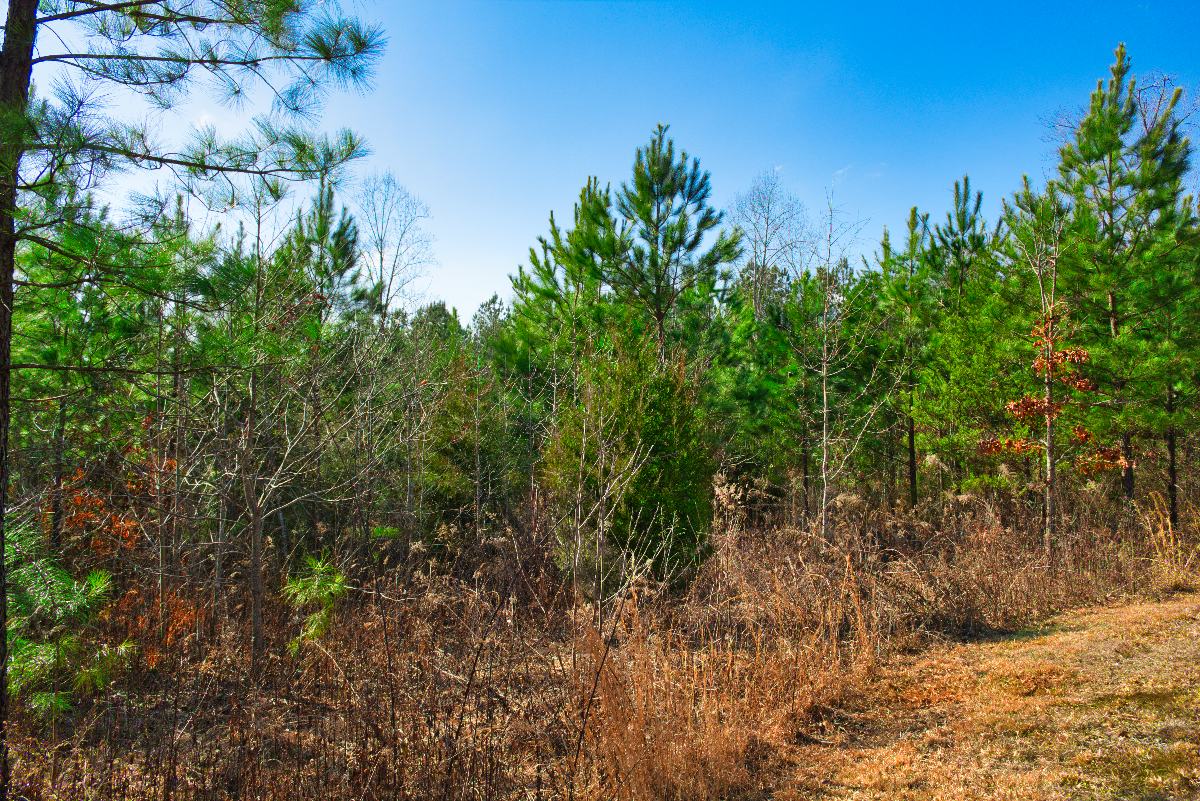 land at the end of a cul-de-sac in Hearthstone Ridge