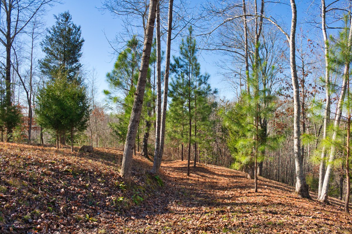 MLS #48777 | 4895 Hudlow Rd, Rutherfordton, NC