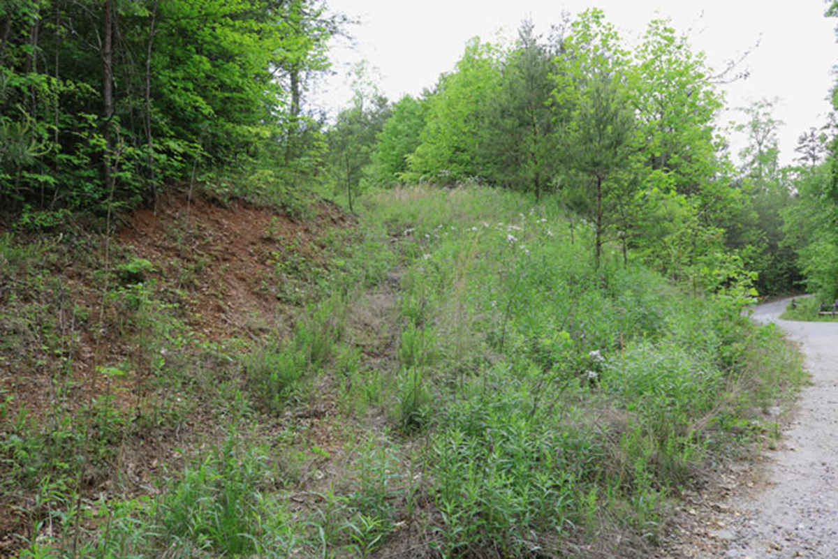 unrestricted land near Lake Lure