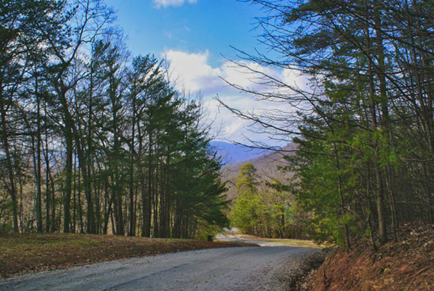 Mountain view from Lot 20 on Pinnacle Pkwy