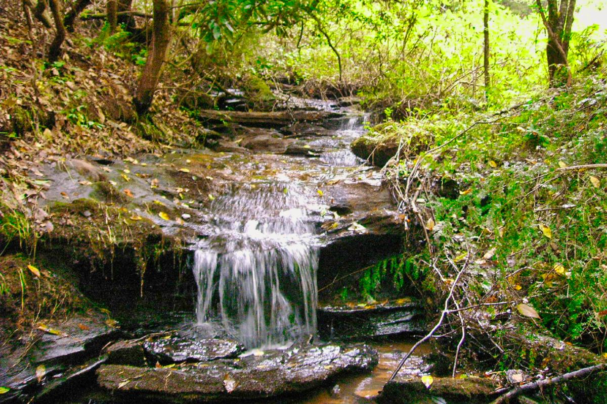 Stream in Sweetbriar Farms South