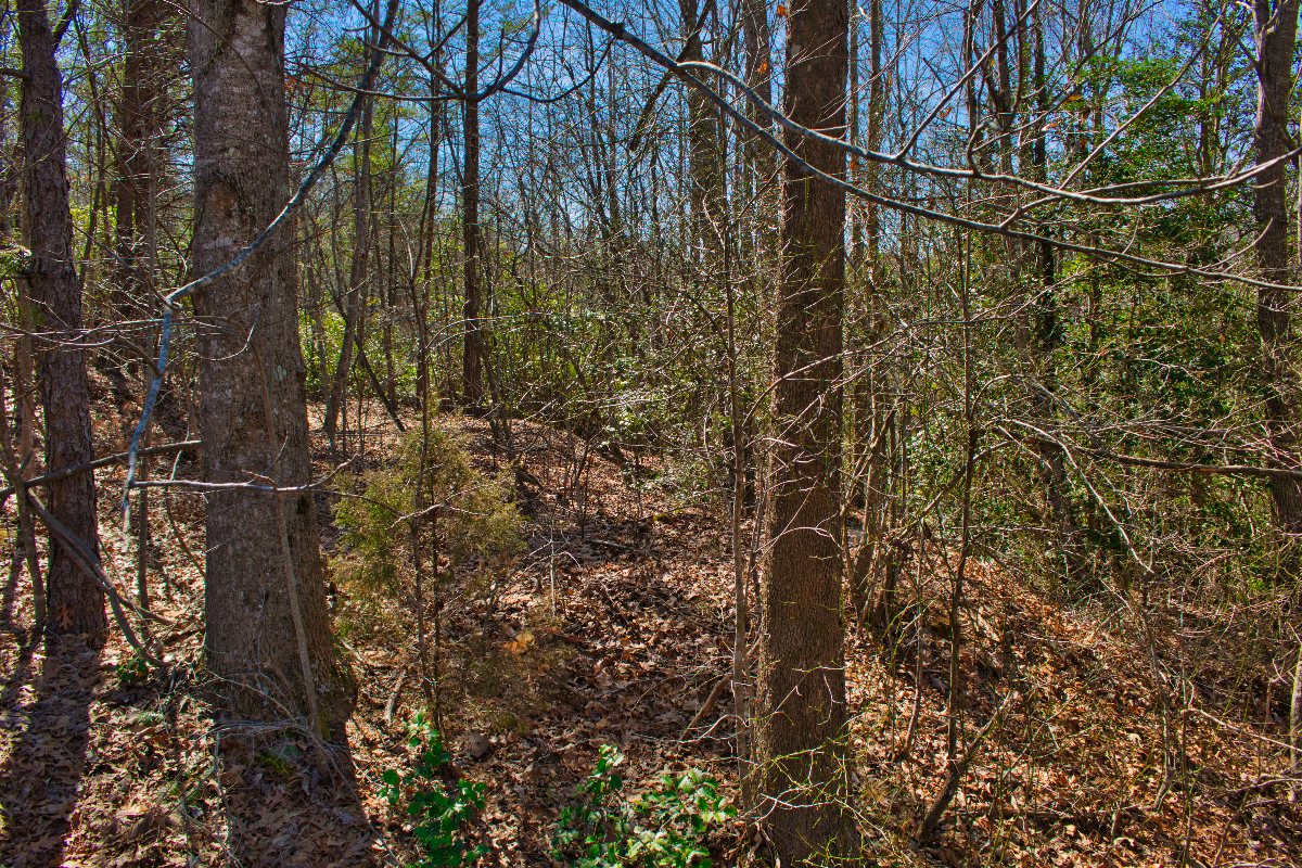 Lot 42 on Sweetbriar Rd S, Lake Lure, NC