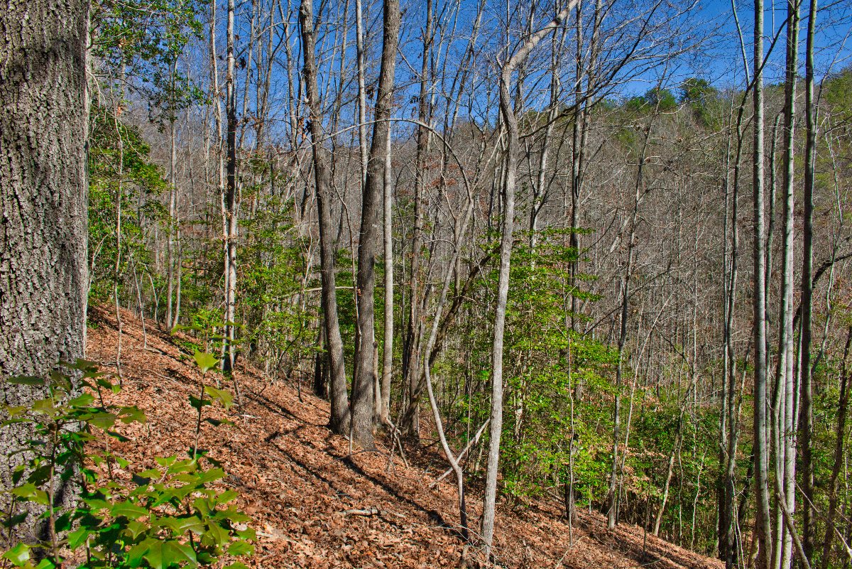 Lot 42 on Sweetbriar Rd S, Lake Lure, NC