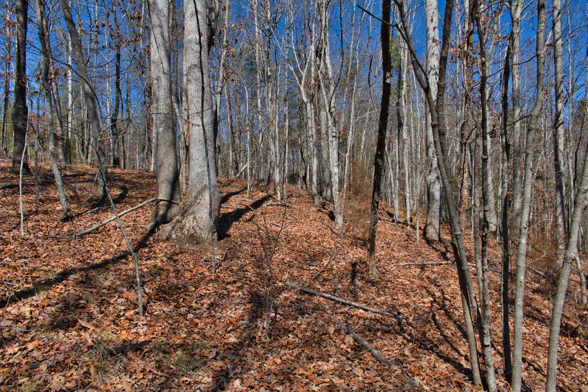 Lot 42 on Sweetbriar Rd S, Lake Lure, NC