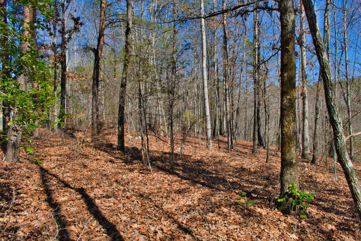 Lot 45 on Long Ridge Dr S, Lake Lure, NC