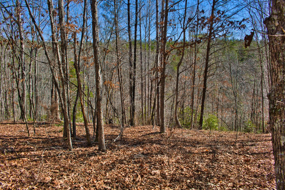 Lot 42 on Sweetbriar Rd S, Lake Lure, NC