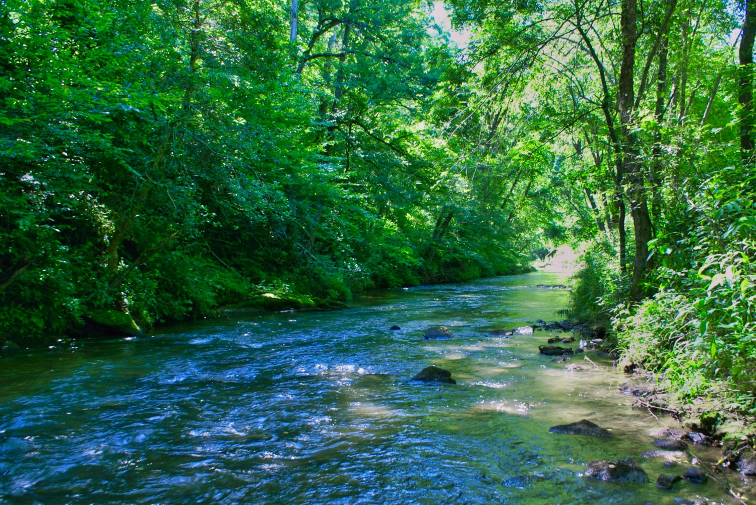 Park in Sweetbriar Farms North