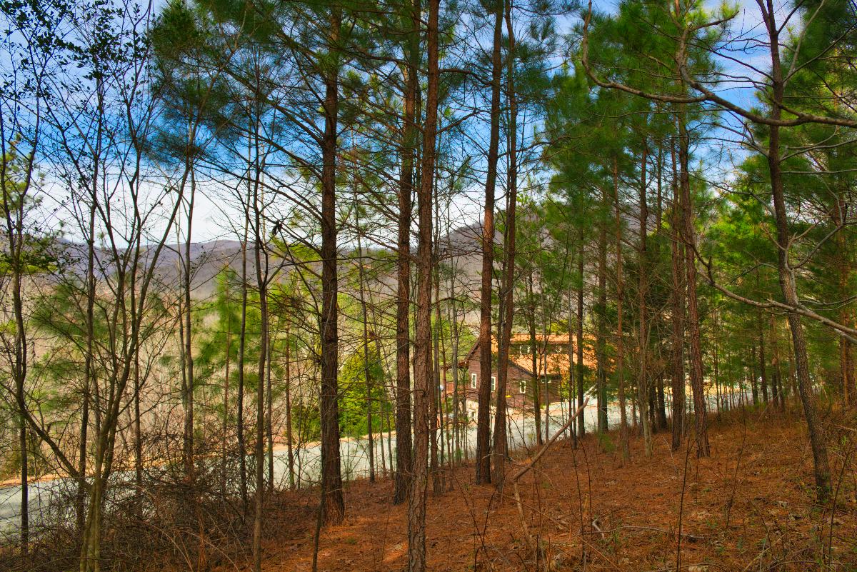 mountain view from level parcel