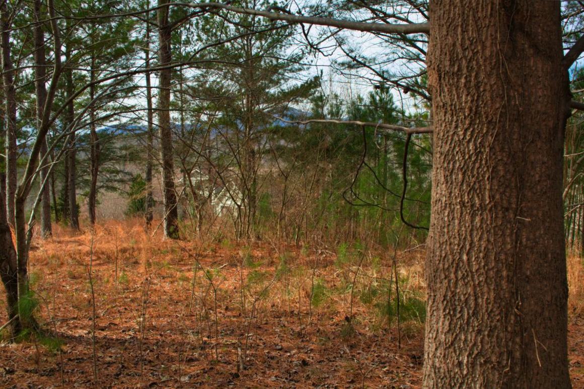 mountain view from level parcel