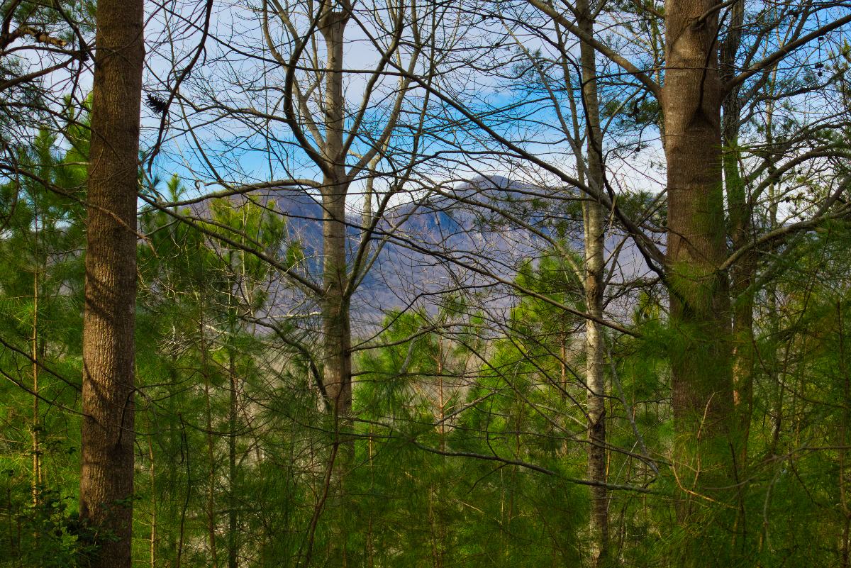 mountain view from level land