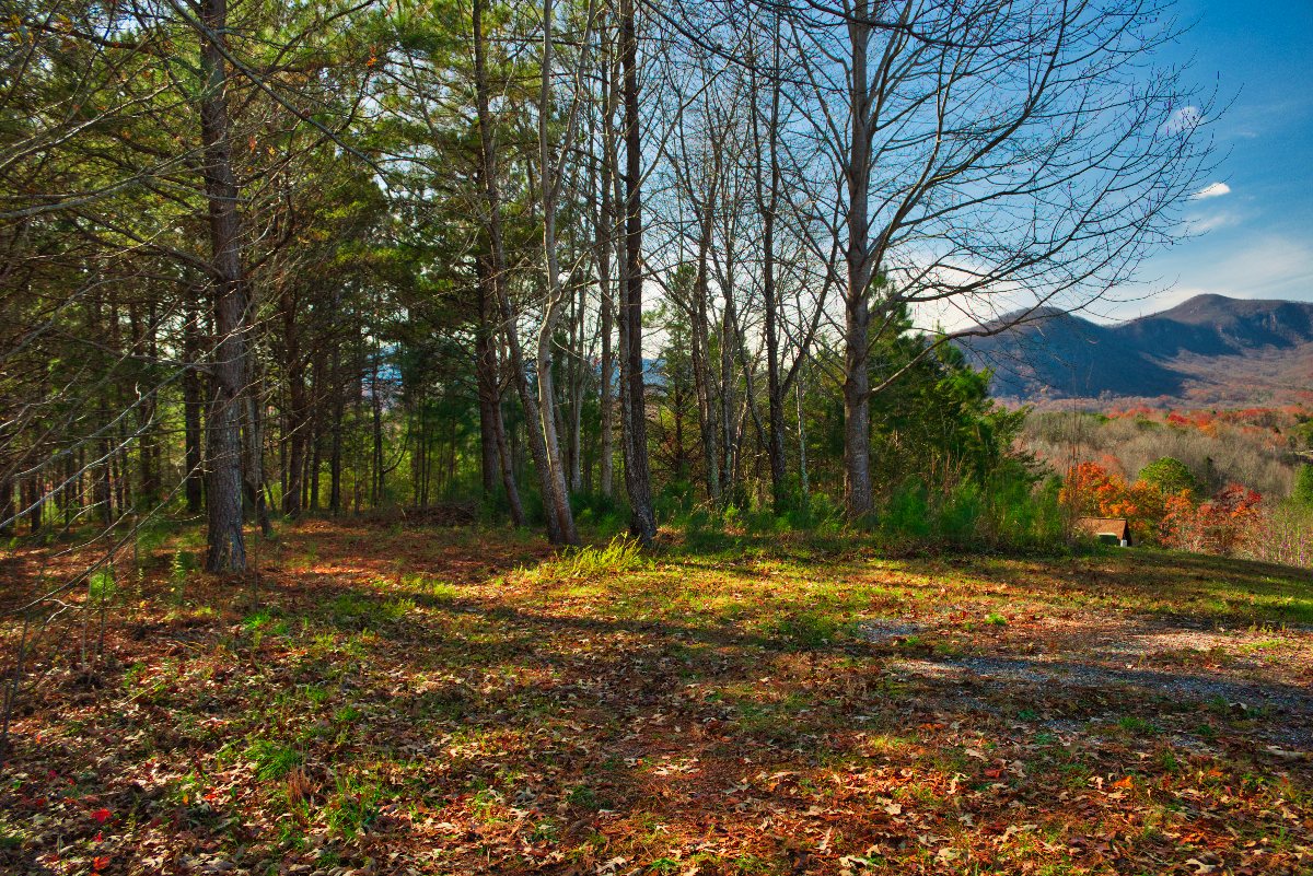 mountain view from level parcel