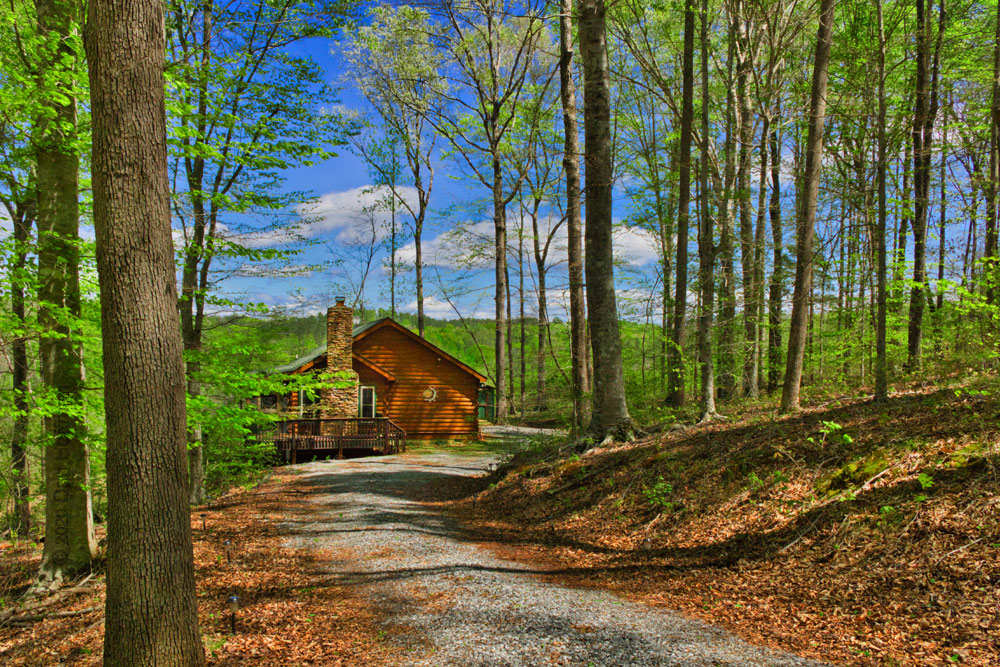 log cabin in woods