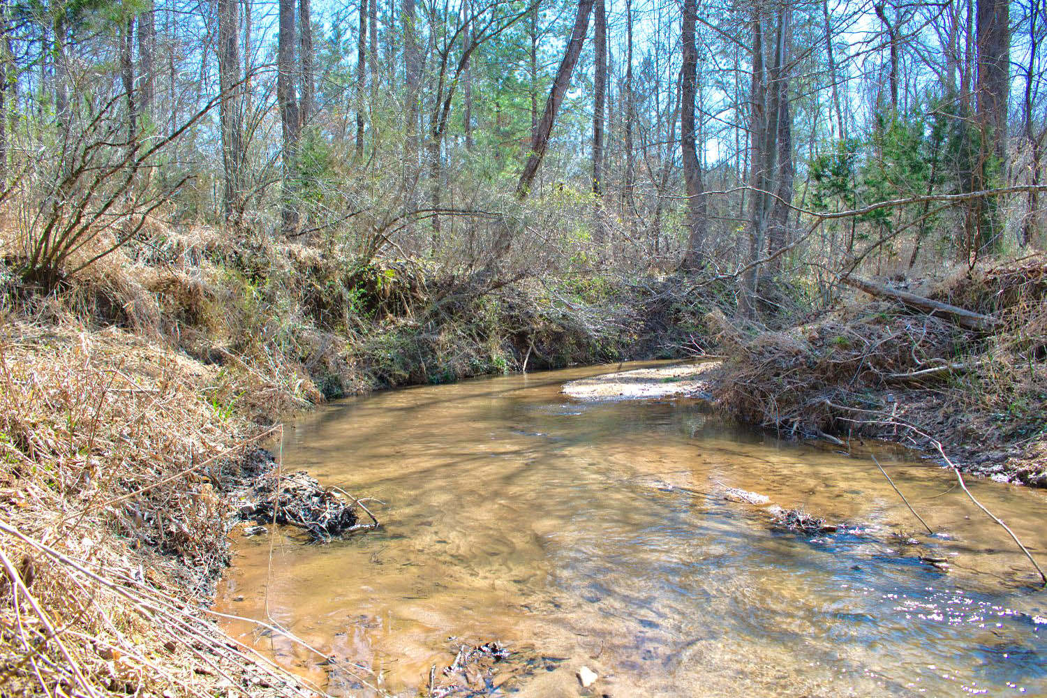 MLS #4354792 - Sloped land with stream and old trees in Clearwater Creek