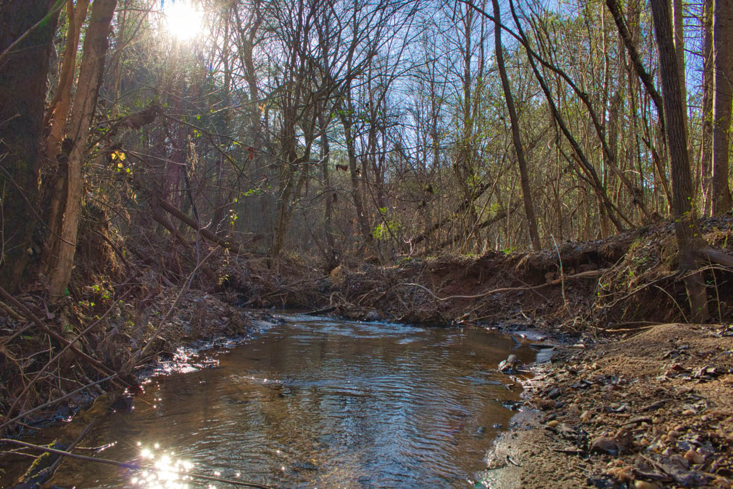 wooded, sloping land with stream frontage in Clearwater Creek