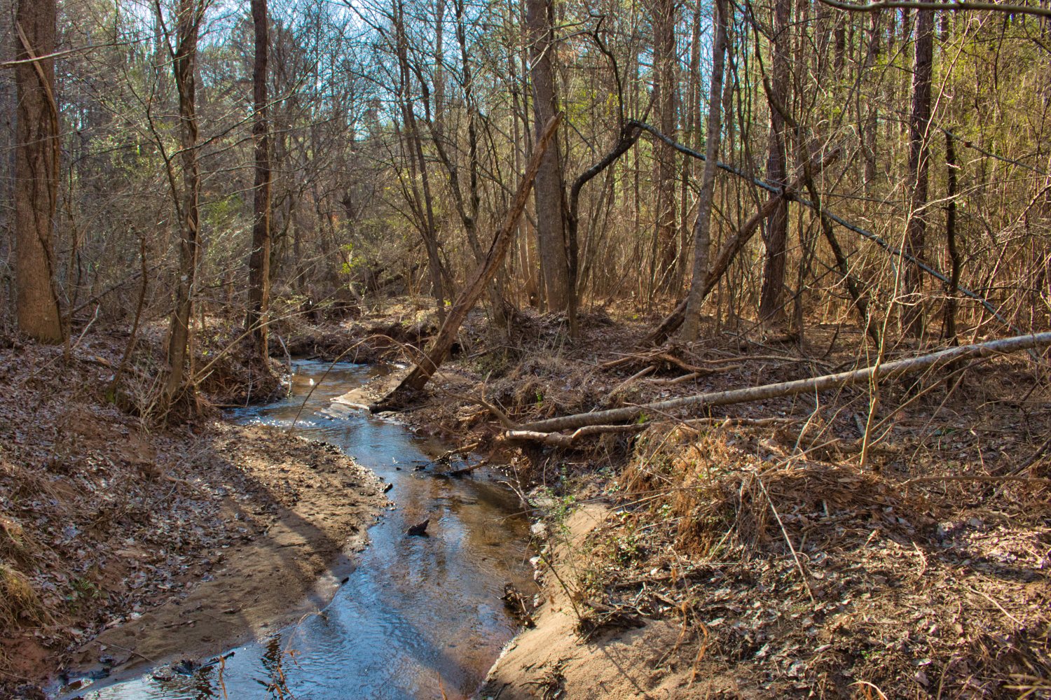 waterfront property in Rutherford County, NC