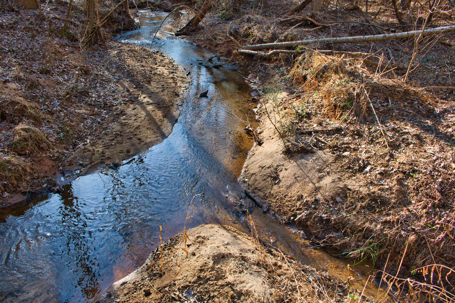 wooded, sloping land with stream frontage in Clearwater Creek