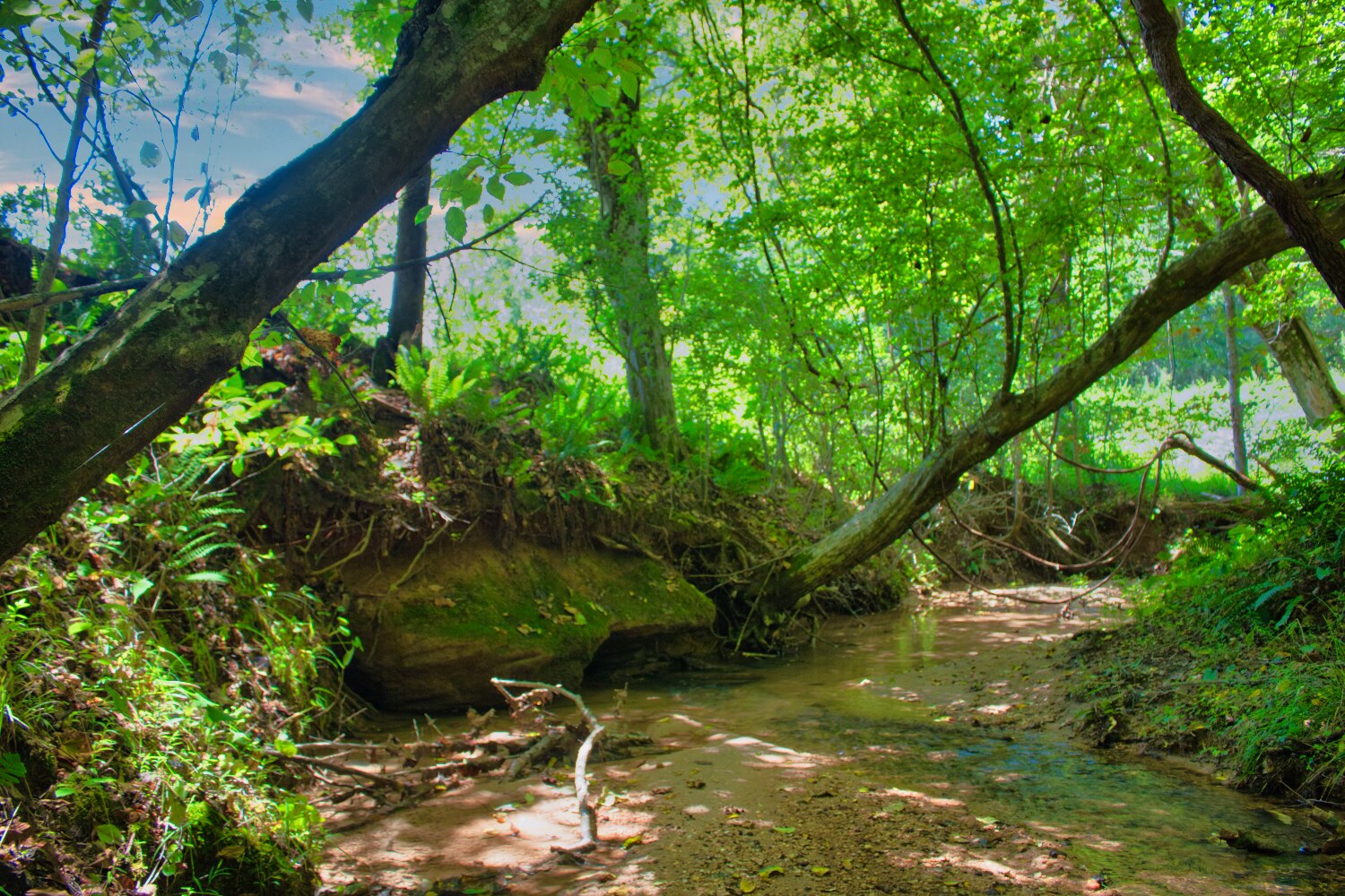 MLS  4415238, wooded, sloping land with stream frontage in Clearwater Creek