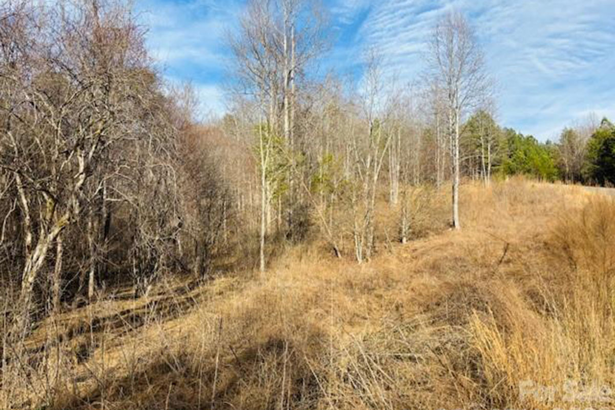MLS  4415238, wooded, sloping land with stream frontage in Clearwater Creek