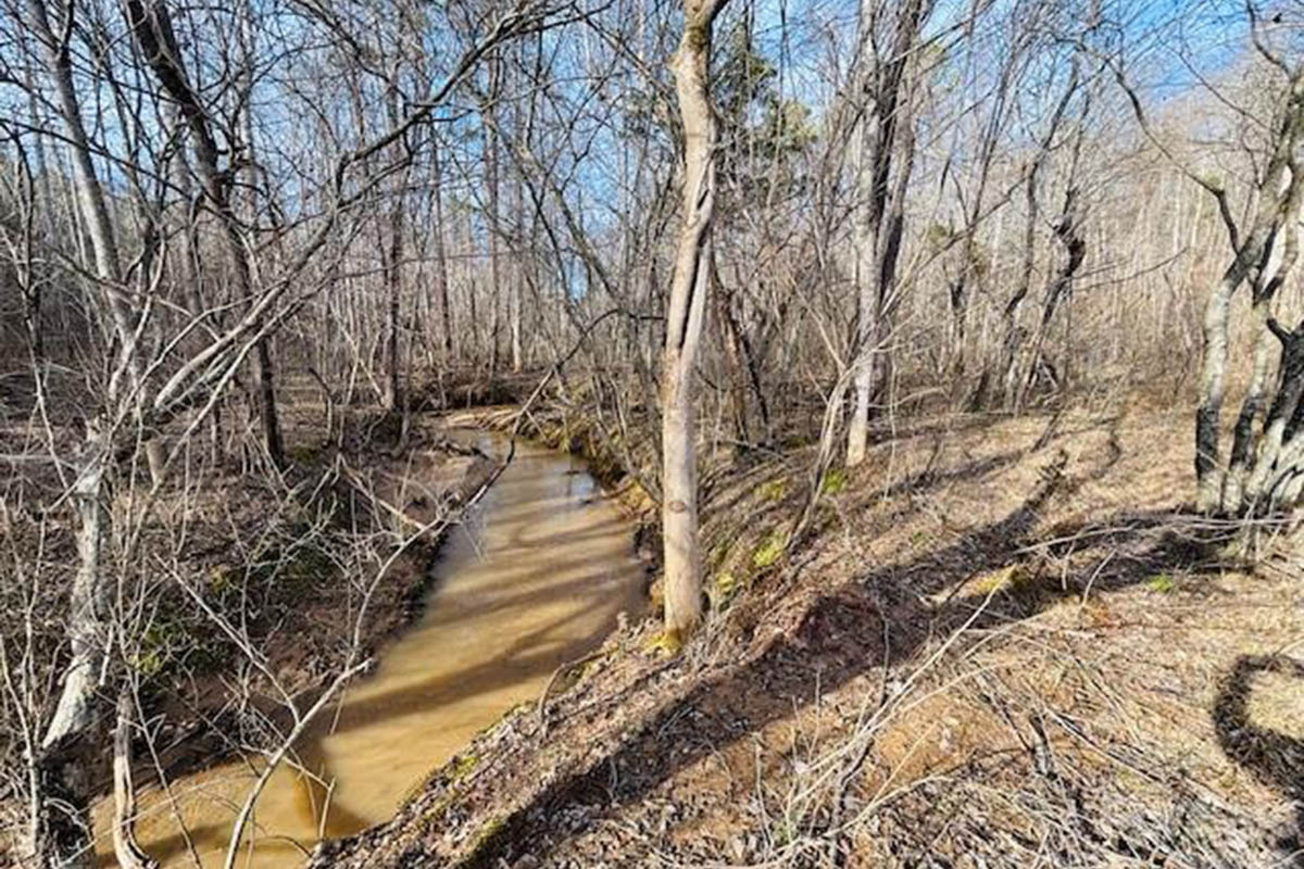MLS  4415238, wooded, sloping land with stream frontage in Clearwater Creek