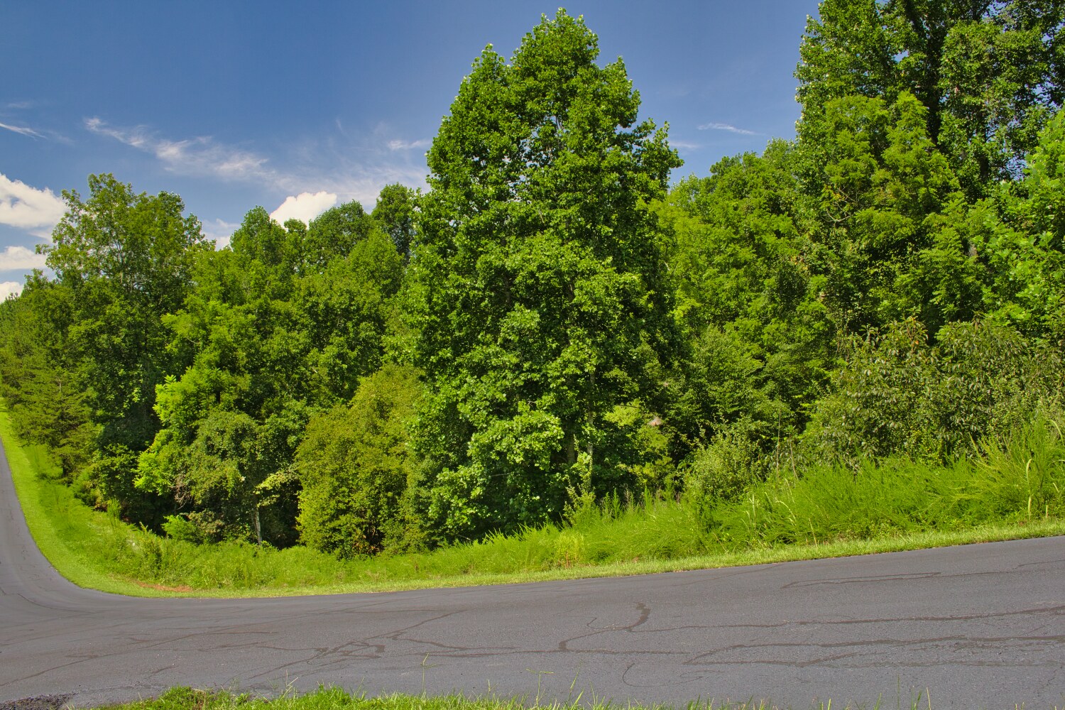 MLS  4415238, wooded, sloping land with stream frontage in Clearwater Creek