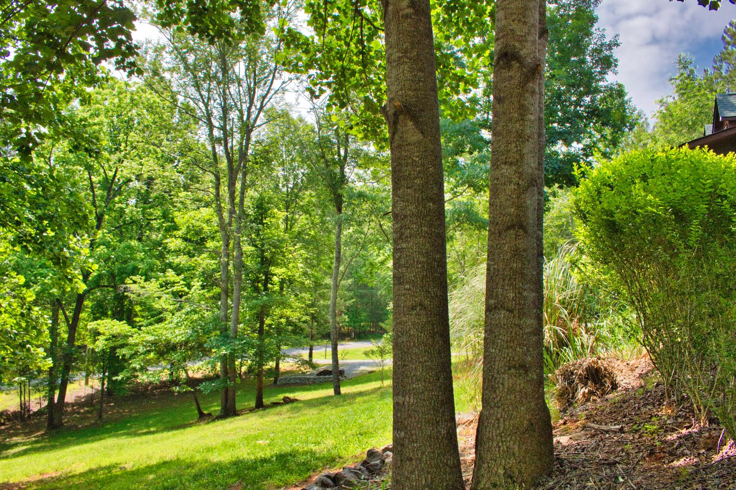 248 Cross Creek Dr, Rutherfordton | MLS 4266904