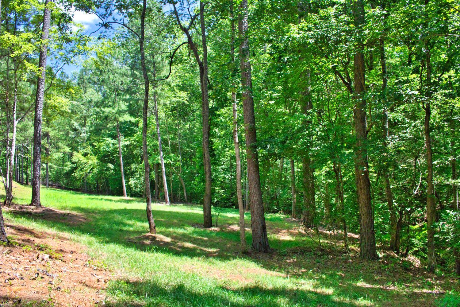 MLS # 4283344 | 2.00 acres | New log cabin w/stream in gated Hearthstone Ridge