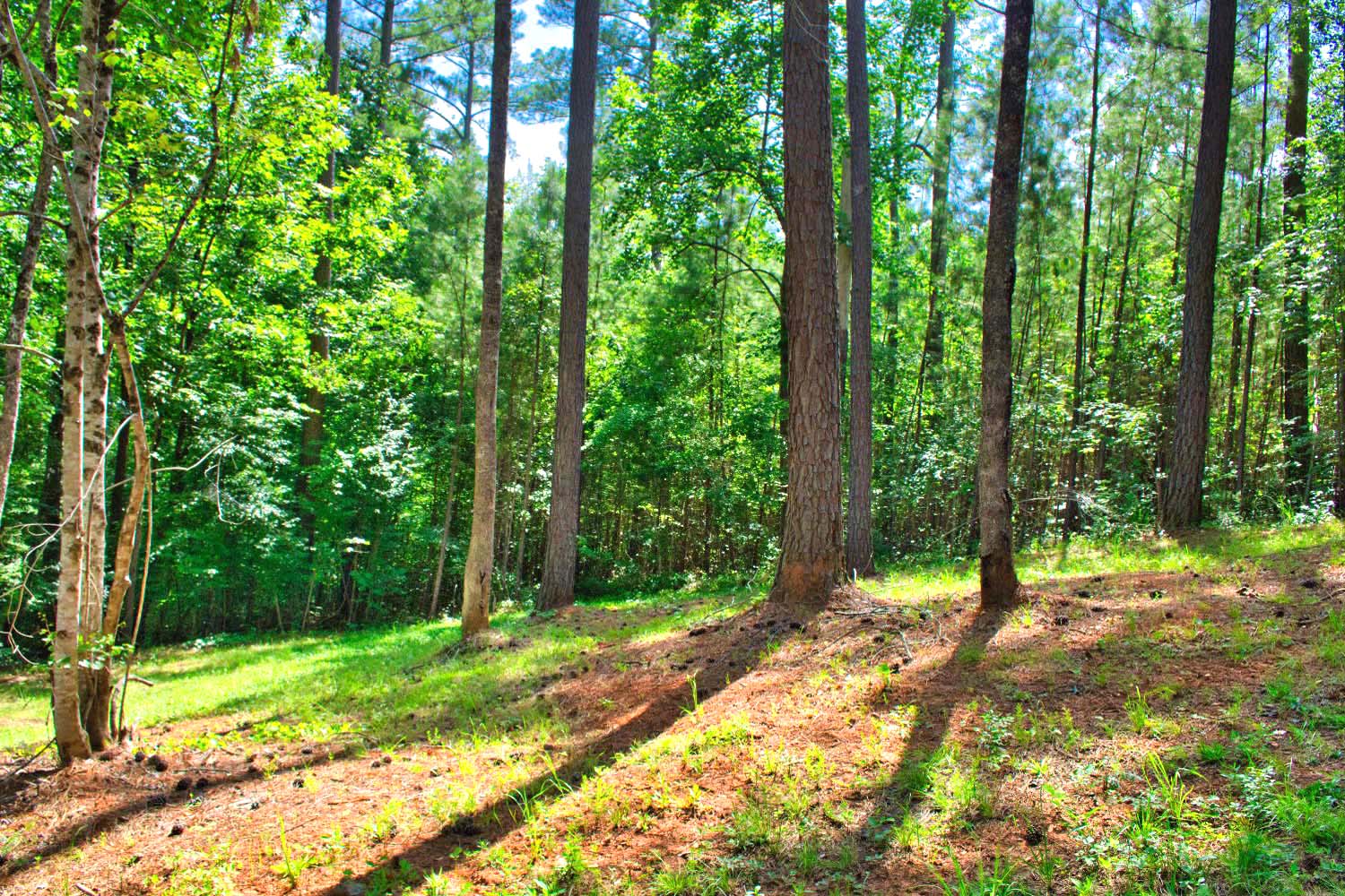 MLS # 4283344 | 2.00 acres | New log cabin w/stream in gated Hearthstone Ridge