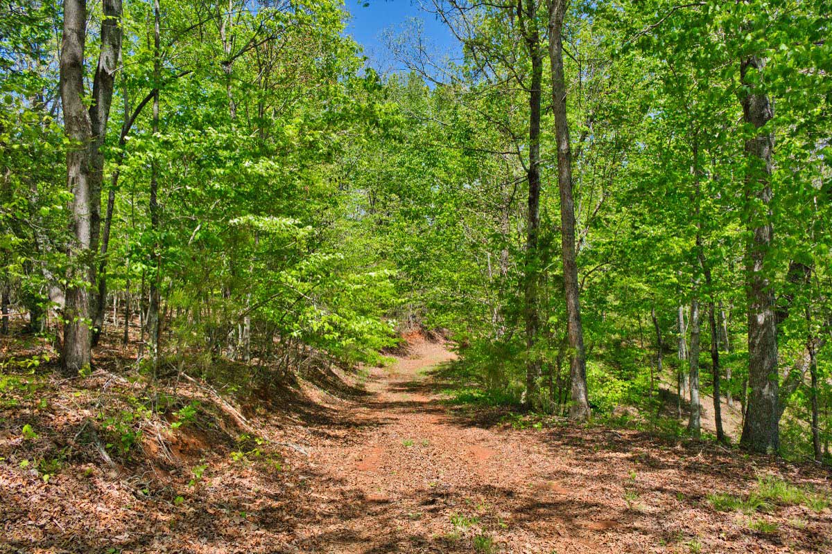 driveway into wooded parcel in Hearthstone Ridge