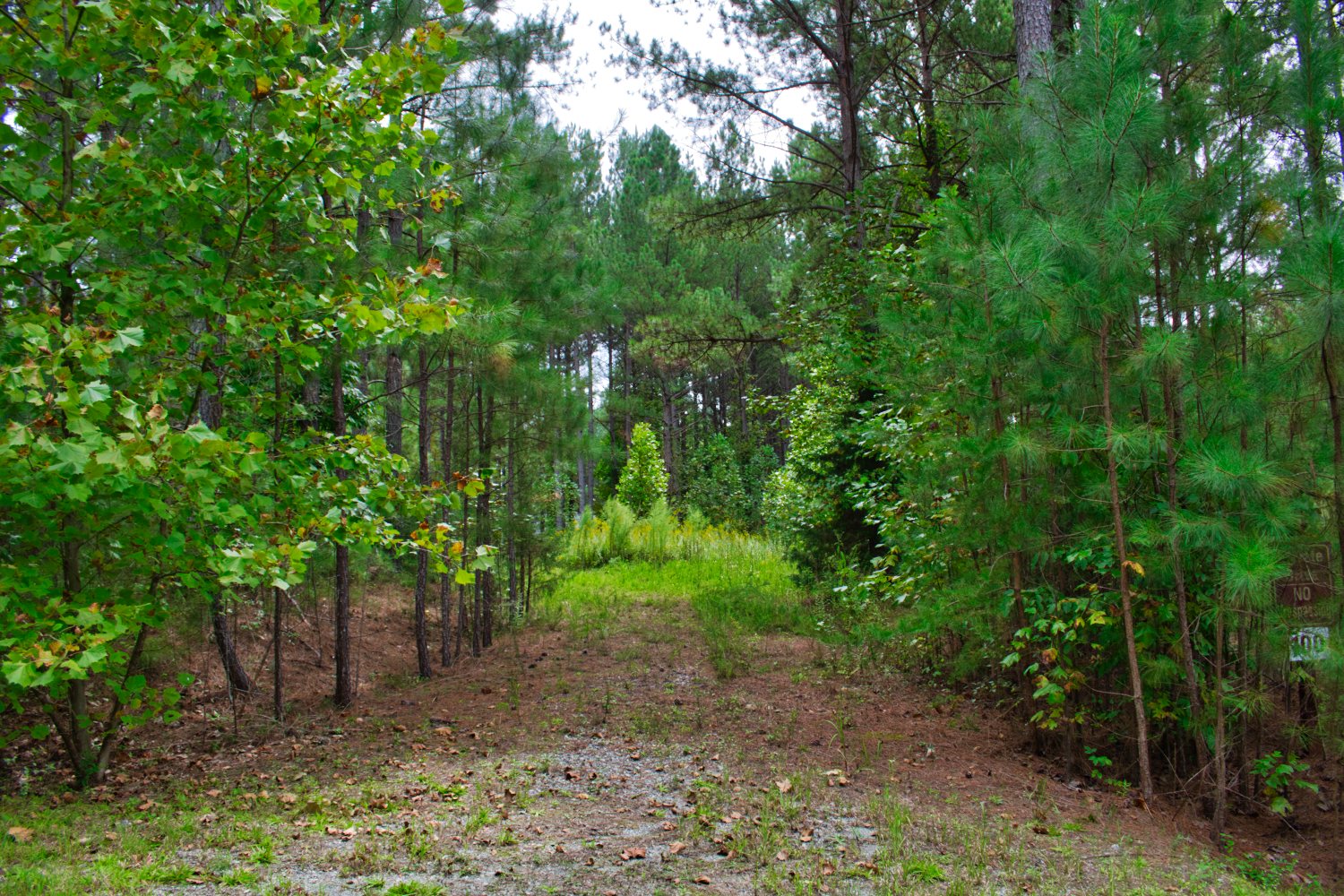 Hearthstone Ridge, Union Mills, NC